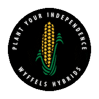 Pyi Sticker by Wyffels Hybrids