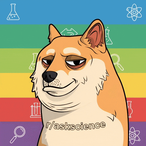 Shiba Inu Illustration GIF by Doge Pound