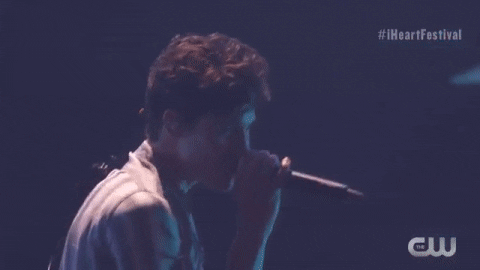 shawn mendes iheartfestival 2018 GIF by iHeartRadio