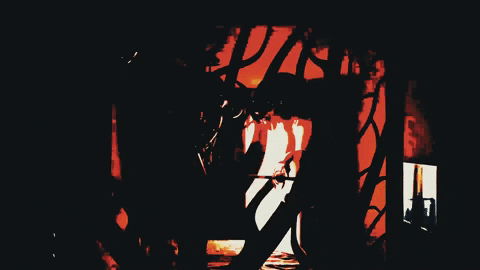 traumarbajter giphyupload GIF