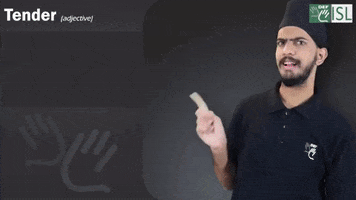 Sign Language Tender GIF by ISL Connect