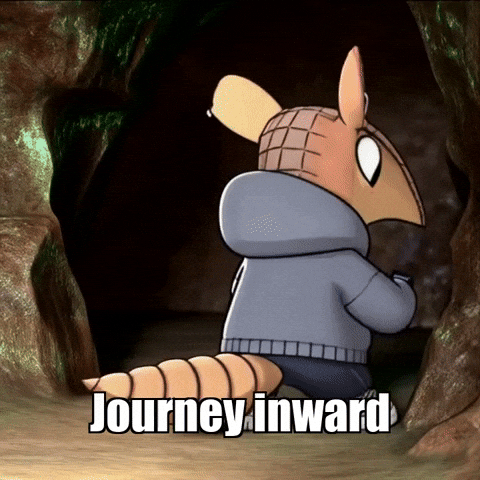 Self-Discovery Wisdom GIF by Chillo Dillo