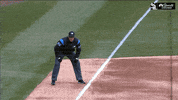 white sox baseball GIF by NBC Sports Chicago