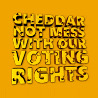 Voting Rights Cheese GIF by Creative Courage