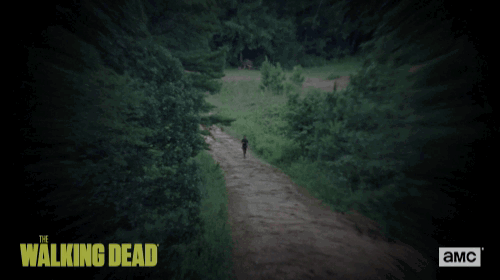 twd GIF by The Walking Dead