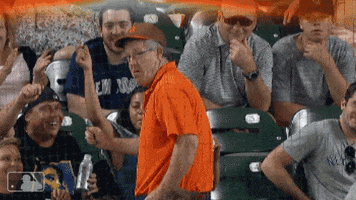 fan orioles GIF by MLB