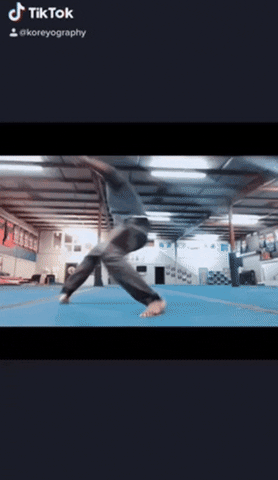 Koreyography giphygifmaker giphygifmakermobile dance christmas GIF