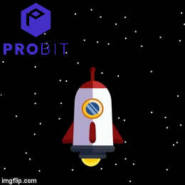Money Invest GIF by ProBit Global