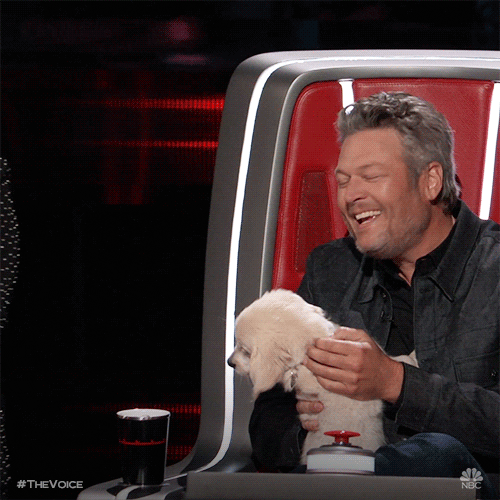 Nbc Puppy GIF by The Voice