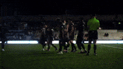Usl Championship Dance GIF by Switchbacks FC