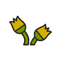 maevechocolate flowers garden seattle tulips Sticker