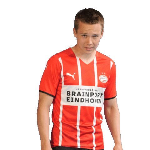 Football Celebrate Sticker by PSV