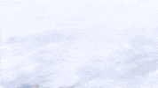 Rolling Persona 4 GIF