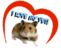 Guinea Pig Love Sticker