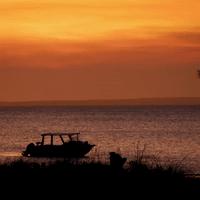 australia reizen GIF by BNNVARA