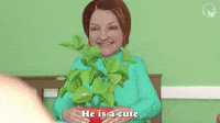 He Is A Cute Little Critter