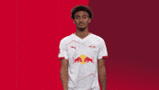 Football Soccer GIF by RB Leipzig