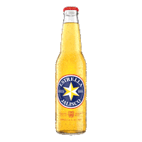 Beer Cheers Sticker by Estrella Jalisco