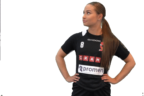 Floorball Salibandy Sticker by F-liiga