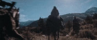 Horseback Riding Horse GIF by VVS FILMS