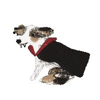 Halloween Vampire Sticker by Andrea Caceres