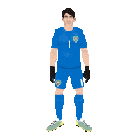 World Cup Football Sticker by Panini America