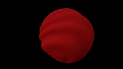 CalherDelaeter  GIF