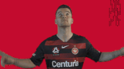 western sydney wanderers football GIF by wswanderersfc