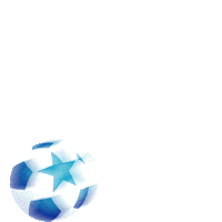 Football Soccer Sticker by Danone Nations Cup