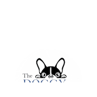 Ddcc Sticker by The Doggy Day Care Centre Ltd.
