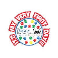Ddcc Sticker by The Doggy Day Care Centre Ltd.