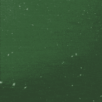 Christmas Country GIF by Jon Langston