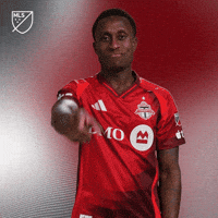 Toronto Fc Celebration GIF by Major League Soccer