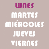 trazoz friday monday colors motion GIF