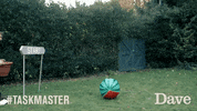 UKTVGIFBANK dave taskmaster uktv tasks GIF