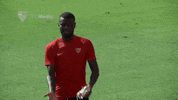 la liga soccer GIF by Sevilla Fútbol Club