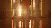 Softball Tennessee GIF by NCAA Championships