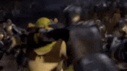 home-lander angry confused shrek nooo GIF