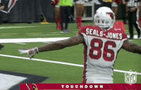 Arizona Cardinals Football GIF by NFL