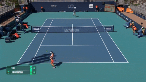 kareljedlika giphyupload GIF