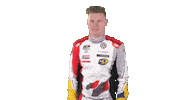 touring car celebration Sticker by FIA WTCR