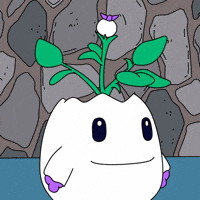 Happy Lets Go GIF by Magic Eden
