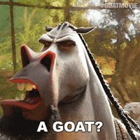 Surprised Horse GIF by Sony Pictures