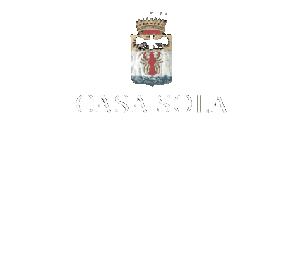 Logo Wine Sticker by Casa Sola