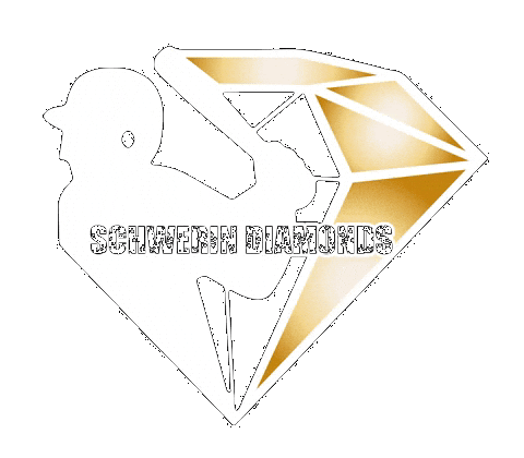 jobsuche schwerin