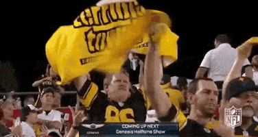 2018 Nfl Football GIF by NFL