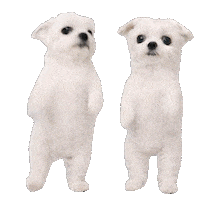 Dance Dog Sticker