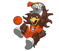 bgsufalcons ayziggy Sticker by Bowling Green State University