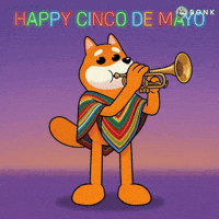 Cinco De Mayo Poncho GIF by BONK