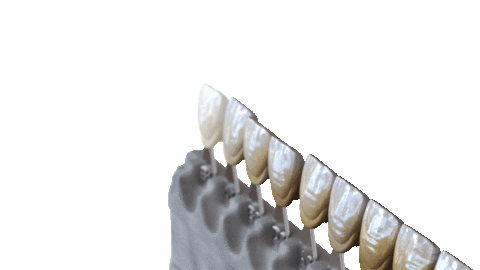 Sticker by Mini Smile Makeover